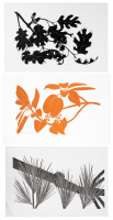 Seven prints of iconic California plants by Henry Evans