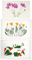 Five floral linocut prints by Henry Evans