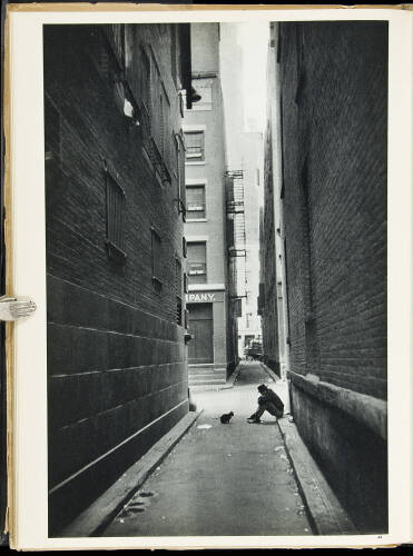 The Decisive Moment