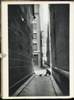 The Decisive Moment