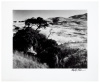 The Wilder Shore - 3