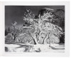Images, 1923-1974 - 3