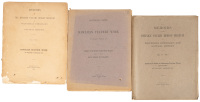 Three early studies on Hawaiian feather work