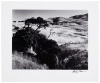 Ranchland, Big Sur, 1969 - 3