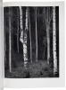 These We Inherit: The Parklands of America - 4