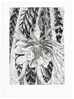 Gerard Brender &agrave; Brandis: A Selection of Wood Engravings