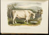 The Breeds of the Domestic Animals of the British Islands Illustrated with Plates, From Drawings by Mr. W. Nicholson, Reduced from a Series of Portraits from Life, Executed for the Agricultural Museum of the University of Edinburgh, by Mr. W. Shiels - 3