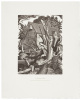 Engraved in the Wood: A Collection of Wood Engravings by George Mackley - 3