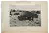 Ranching with Lords and Commons; or, Twenty Years on the Range. - 2