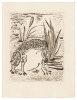 Eaux-Fortes Originales pour des Textes de Buffon - 2