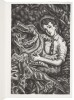 The Scottish Bestiary - 8