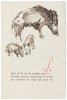 Buffon [28 textes choisis] - 6