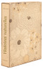 Histoires Naturelles - 4