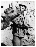 Armed Soviet soldier with camel in Afghanistan
