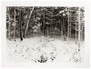 Cushing, Maine, 2009 - 4