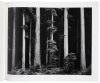 Images, 1923-1974 - 6