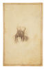 Small archive of CDVs of John Hanson McNeill, commander of the Confederate irregular unit know as the McNeill Rangers, and family members - 6