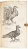 The Ornithology of Francis Willughby of Middleton in the county of Warwick Esq; fellow of the Royal Society. In three books. Wherein all the birds hitherto known, being reduced into a method sutable to their natures, are accurately described. The descript - 3