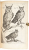 The Ornithology of Francis Willughby of Middleton in the county of Warwick Esq; fellow of the Royal Society. In three books. Wherein all the birds hitherto known, being reduced into a method sutable to their natures, are accurately described. The descript - 4