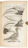 The Ornithology of Francis Willughby of Middleton in the county of Warwick Esq; fellow of the Royal Society. In three books. Wherein all the birds hitherto known, being reduced into a method sutable to their natures, are accurately described. The descript - 5
