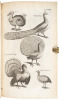 The Ornithology of Francis Willughby of Middleton in the county of Warwick Esq; fellow of the Royal Society. In three books. Wherein all the birds hitherto known, being reduced into a method sutable to their natures, are accurately described. The descript - 6