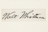 Portrait of Walt Whitman holding a butterfly, matted with large signature - 3