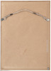 Portrait of Walt Whitman holding a butterfly, matted with large signature - 4