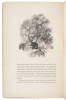 The Thousand and One Nights, Commonly Called, in England, The Arabian Nights' Entertainments - 7