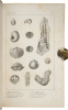 A Geological Map of the United States and the British Provinces of North America; With an Explanatory Text, Geological Sections, and Plates of the Fossils Which Characterize the Formation - 2