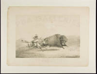 No. 5. Buffalo Hunt, Chase