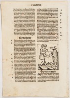 Leaf from Hortus Sanitatis