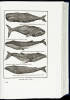 Moby-Dick; or, The Whale - 3