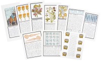 Thirty Recipes Suitable for Framing