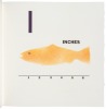 An Angler's Alphabet - 4