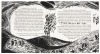 Apologia - 8