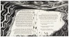 Apologia - 10