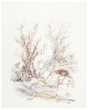 Orlando Furioso - 2