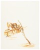 Orlando Furioso - 5
