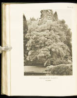 Catalogue of the Trees & Shrubs in the Collection of the Late Lieut.-Col. Sir George Lindsay Holford