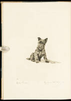 Marguerite Kirmse's Dogs