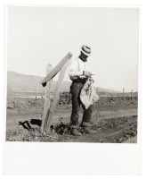 Farmer Getting the Morning Mail, Genn County, Idaho, October 1939