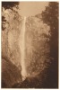 Bridalveil Fall, Yosemite