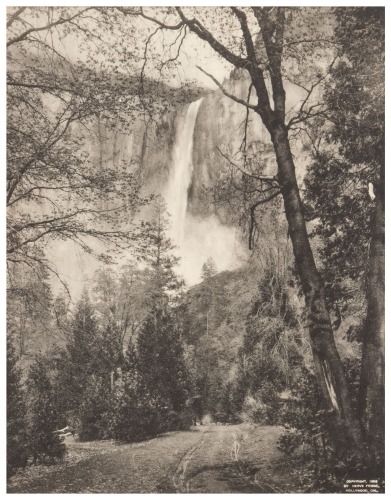 The Road to Bridalveil Falls, Yosemite
