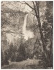 The Road to Bridalveil Falls, Yosemite