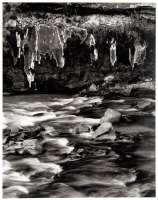 Virgin River, Zion National Park, Utah, 1999