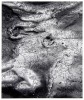 Mud Cracks, Anza Borrego, 1985
