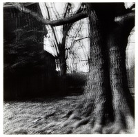 Untitled (Motion-Sound Landscape)