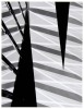 Reflections I