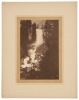 Vernal Fall from Lady Franklin Rock