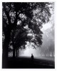 Hyde Park, London, 1951